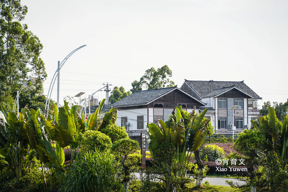 袁隆平五彩田园,广西五彩田园现代农业园区