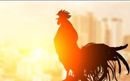 被蜈蚣咬了之后疼痛要持续多久,被蜈蚣咬了真疼