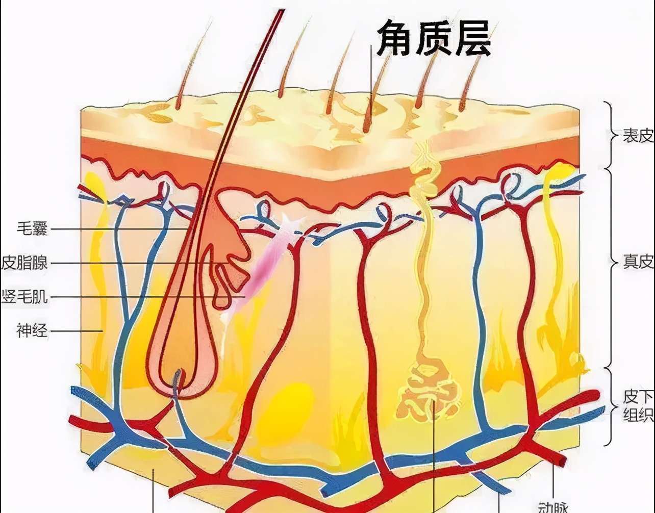 什么样的黑痣才是癌症的表现,警惕身上有这种痣当心是恶性肿瘤