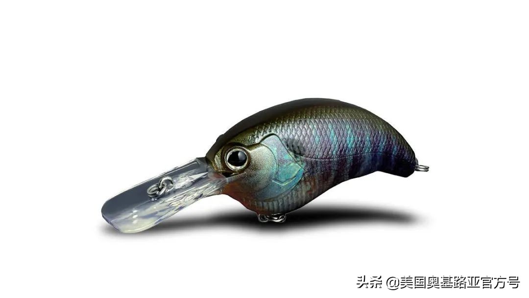 2024全国渔具展会一览表最新,2022年全国渔具展在哪