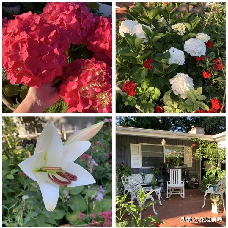 18天我和俩娃，西雅图家庭自由行，民宿、雪山、游艇……好玩刺激