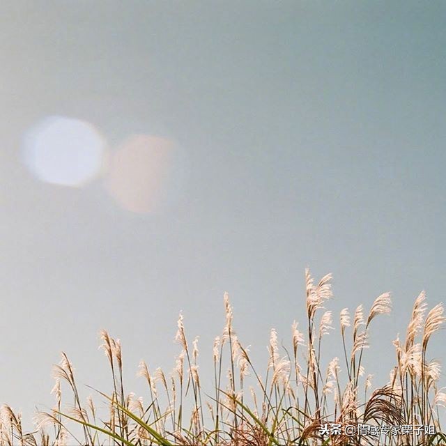 栗子姐情感专家咨询热线,情感咨询栗子每日问答