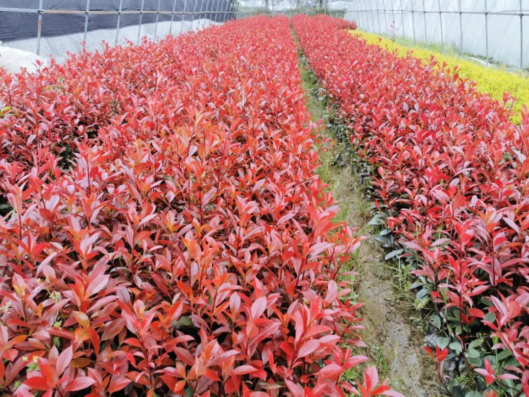 从业25年，她没赔过钱！你信吗？