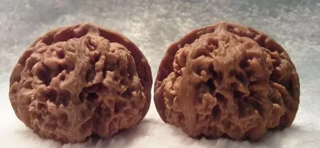 文玩核桃分类及特征,文玩核桃的种类和特点