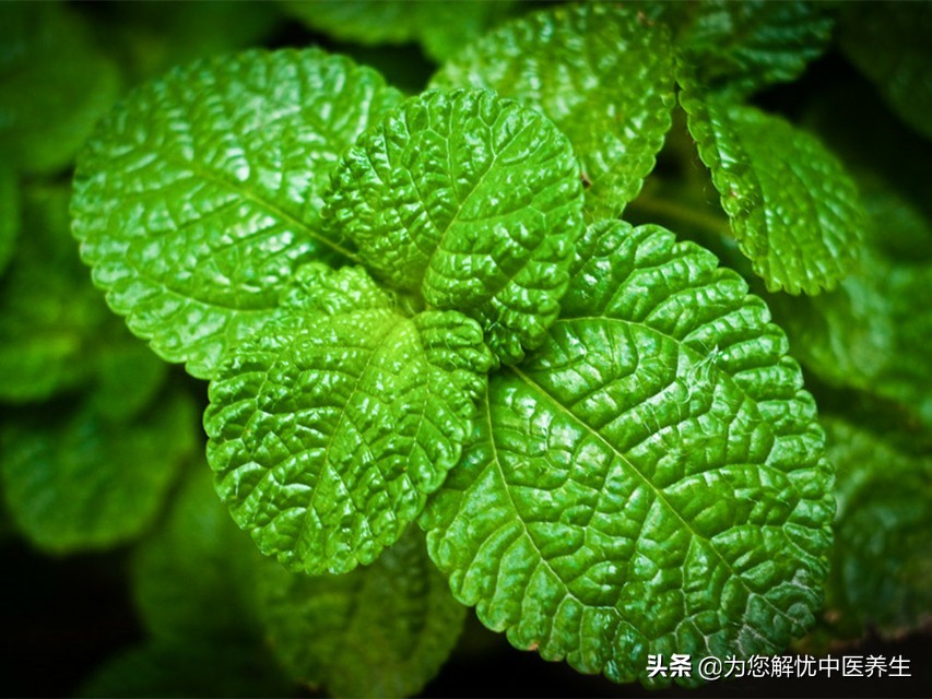 中医治愈新冠肺炎患者回访情况,新冠肺炎是中医有效还是西医有效