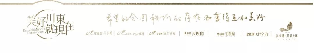 碧桂园地产最新排名,碧桂园地产楼盘分布图