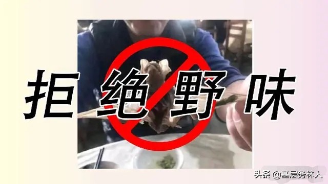 穿山甲为啥成为新冠肺炎宿主,穿山甲是冠状性肺炎的源头吗