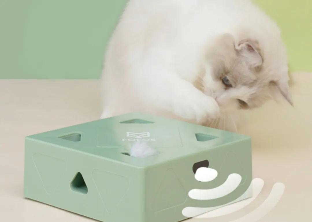 猫咪必备10大神器,猫咪必备神器排行