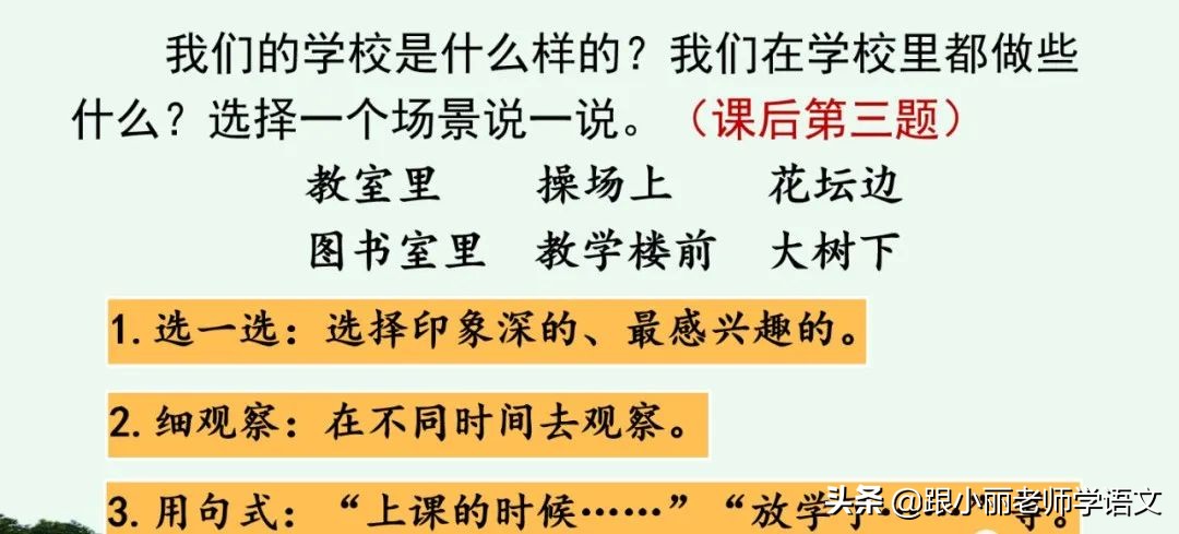 大青树下的小学重点知识点,大青树下的小学重点知识梳理
