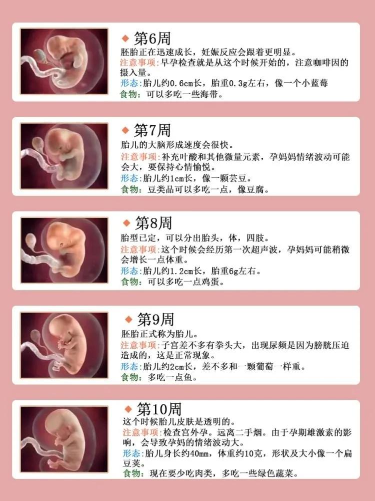 孕期营养补充,孕期营养补充剂排行榜