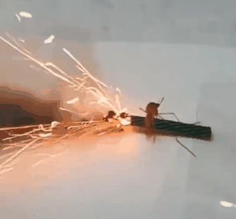 干掉蚊子的100种方法,消灭蚊子的100种方法第24种