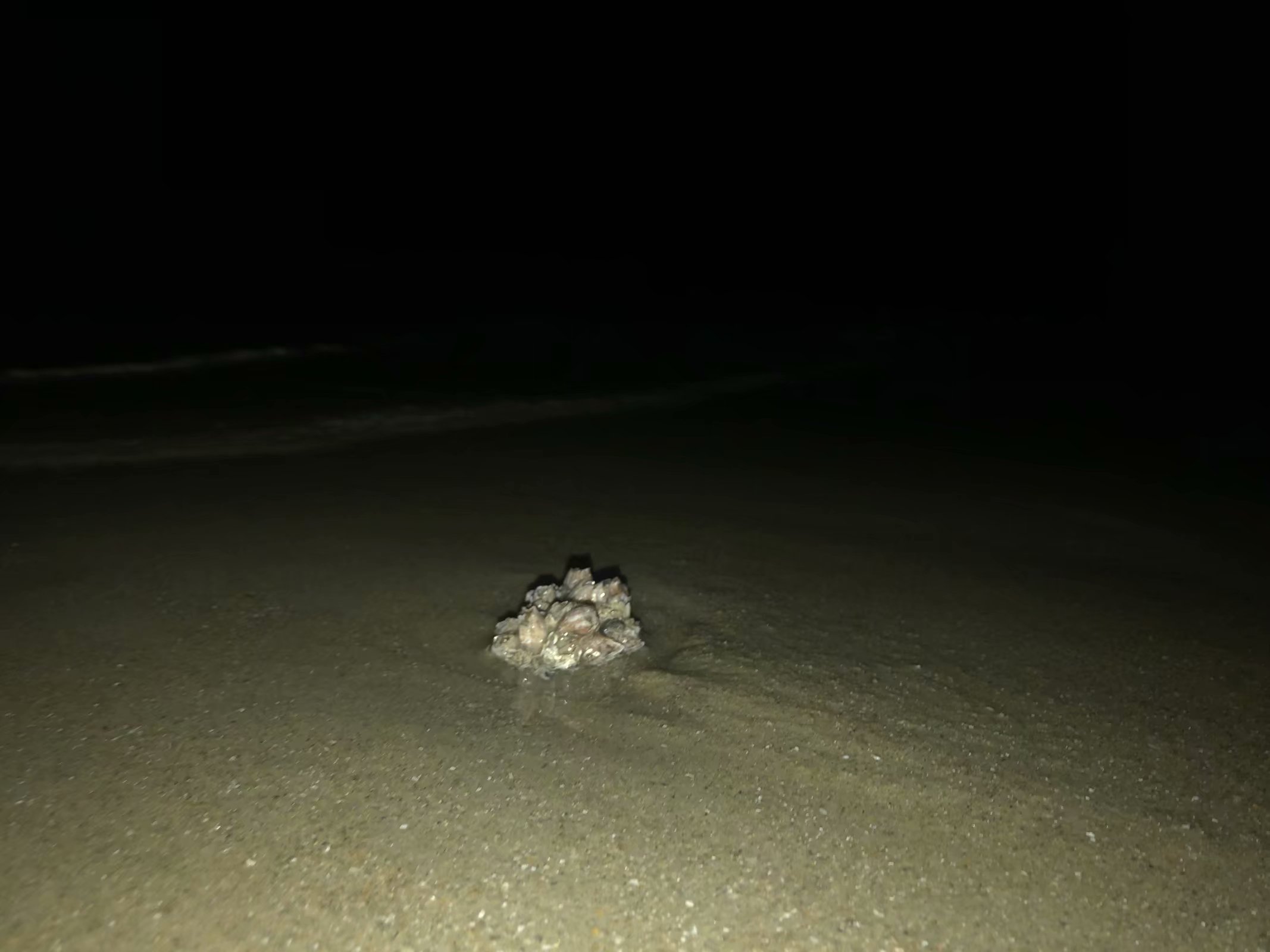 成都夫妻7天花5000玩遍涠洲岛（最后有防踩坑攻略）