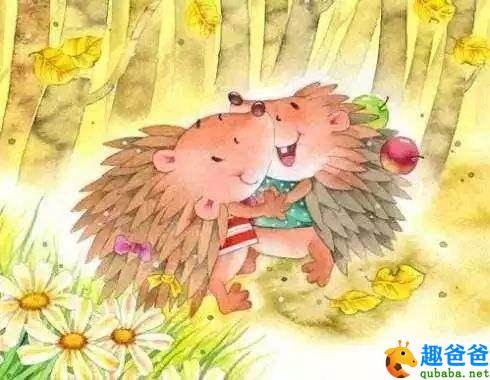 两只刺猬怎样拥抱才不会被扎,小刺猬的拥抱图片