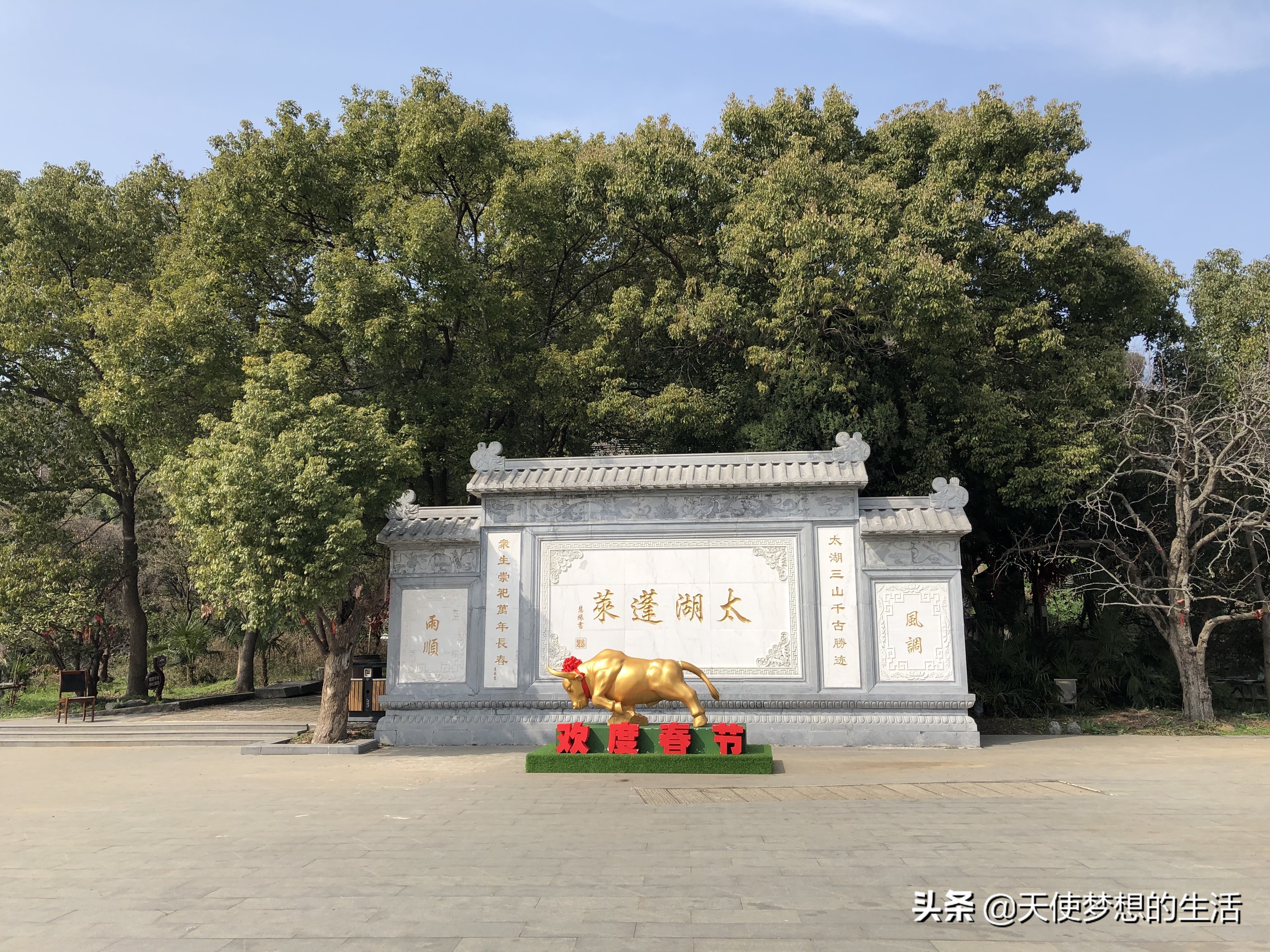 苏州太湖三山岛景区,苏州太湖的三山岛有风景吗