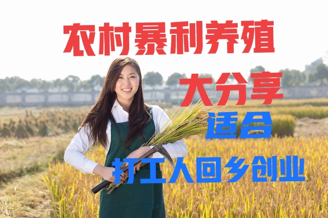 新手创业好项目，特别适合回乡创业者，有你感兴趣的项目吗？