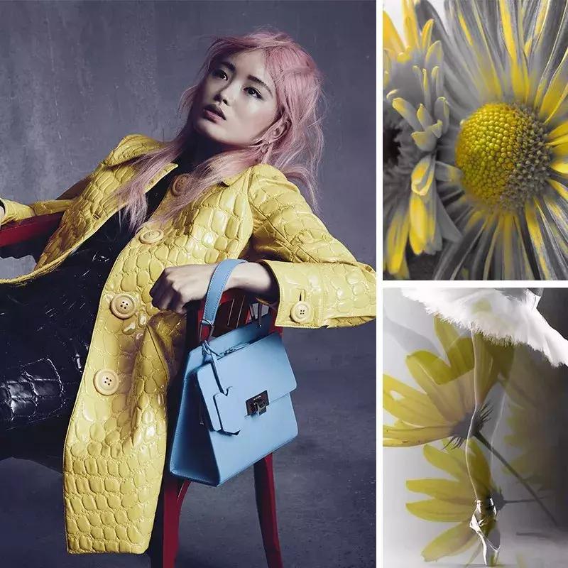 相信，即便再挑剔的人也会从中找到自己喜欢的家居