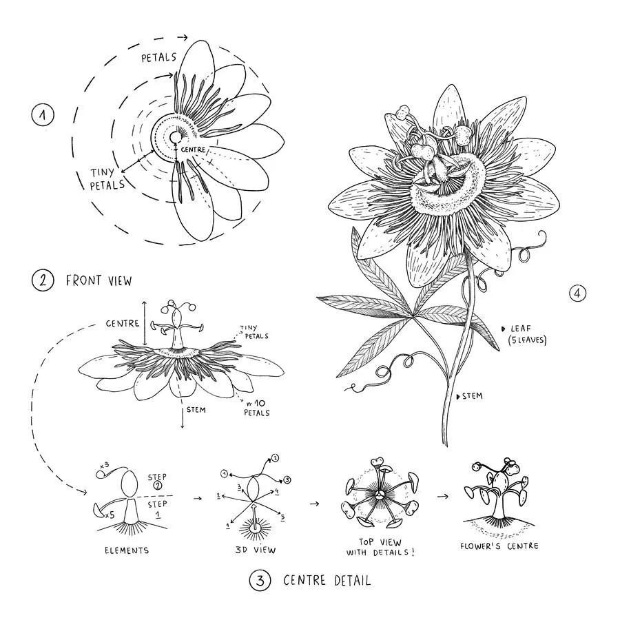 一看就懂的针管简笔画,针管笔入门手绘1000例临摹图