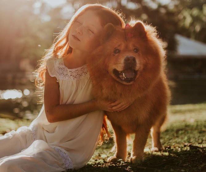 狗狗排便怎么才能带它去正确地方,不让狗狗室内排便怎么训练