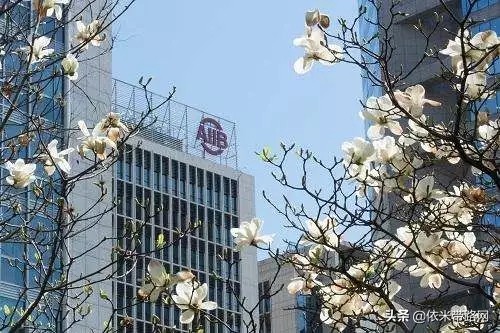 收藏｜2019年“一带一路”新闻日历