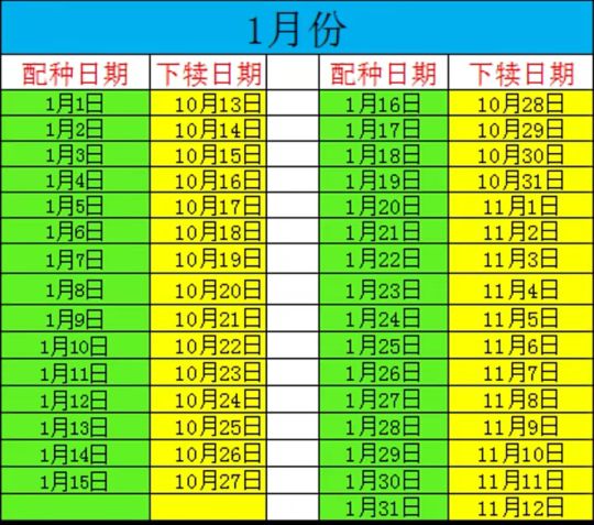 母牛下犊日历表准确吗,2022年母牛下犊时间表