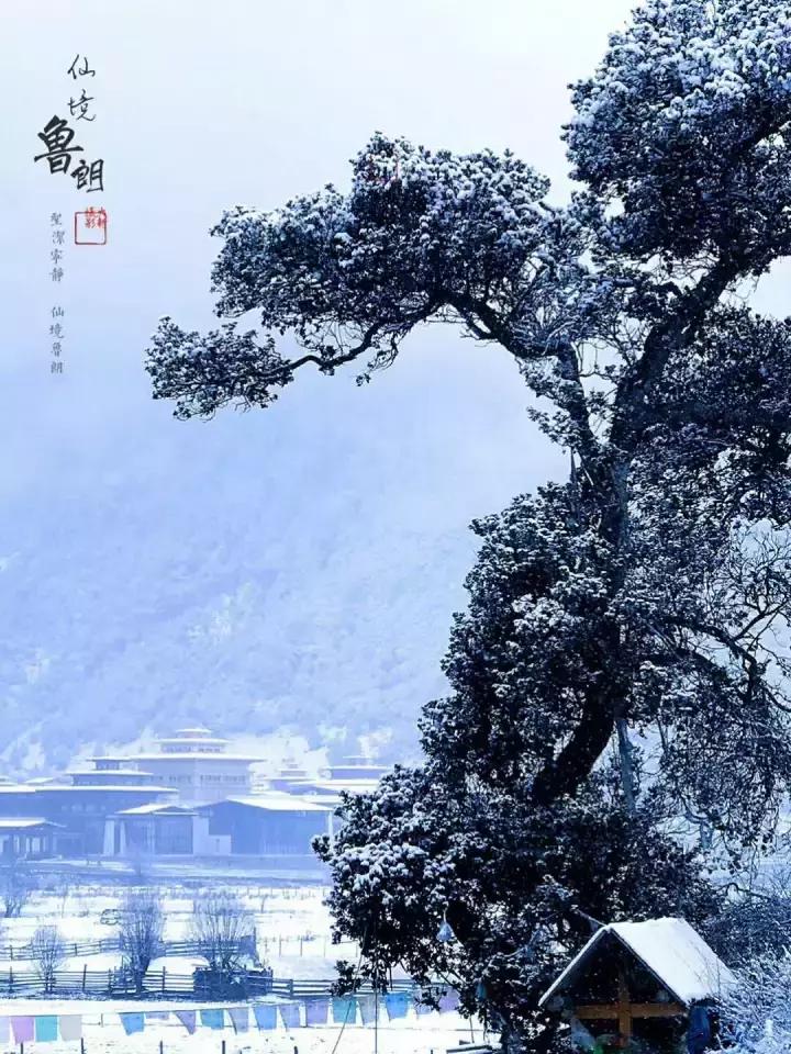 林芝十一月攻略,十月份林芝自驾旅游攻略