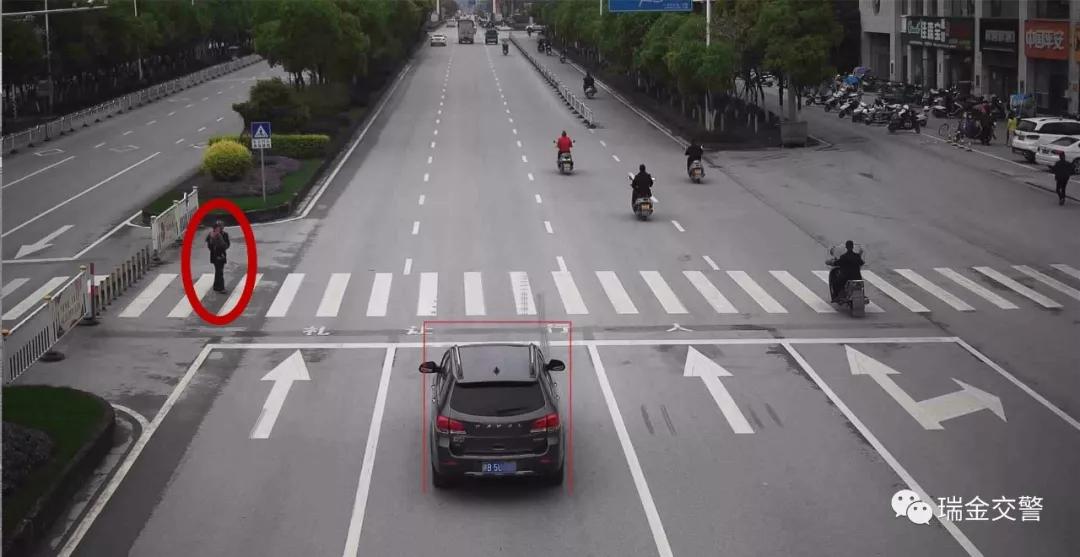 瑞金一大批车主被曝光！看看你“上榜”了吗？