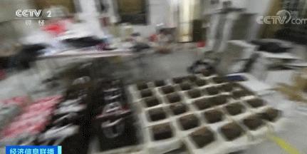 盘点打假奢侈品包包,迪拜冒牌货
