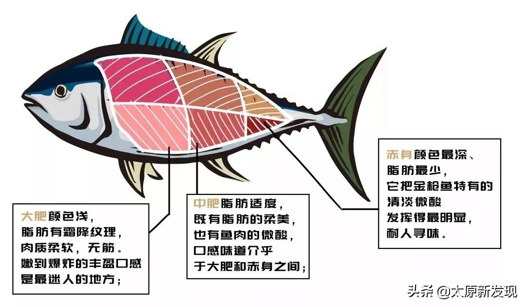 太原高颜值日料,顶级日料100道寿司