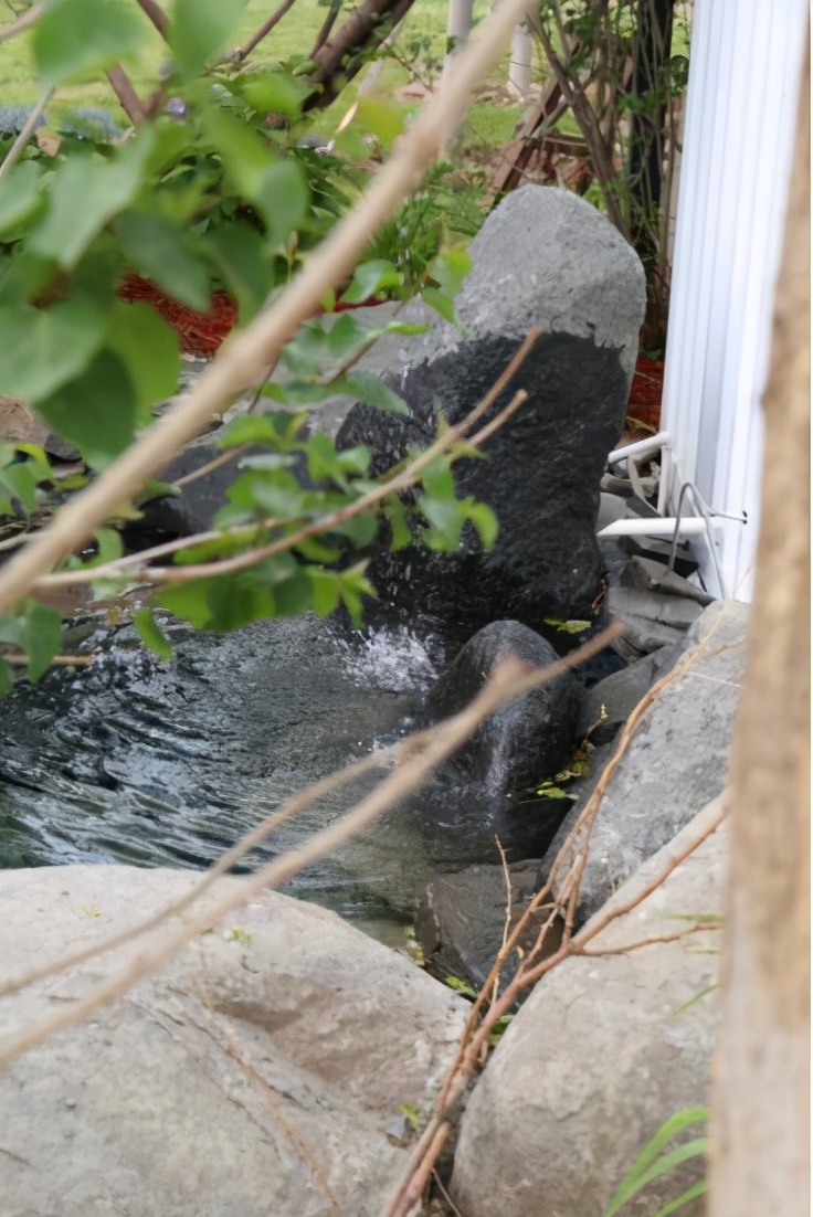 梦境中的花园来感受花园的魅力,这座花园带给你全新体验