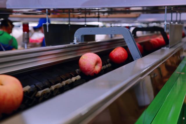 生鲜平台水果供应链如何运作,生鲜电商供应链运作