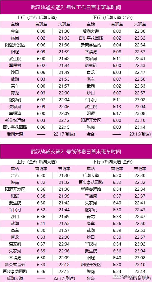 2021年武汉地铁,武汉地铁2021年底线路图