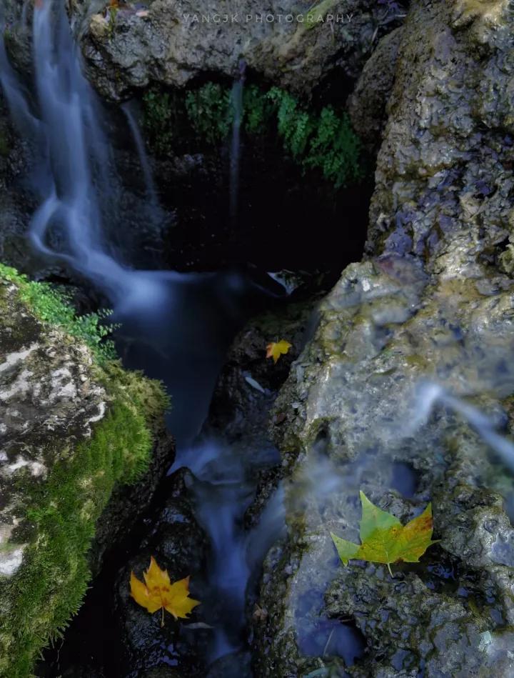 秋色正艳|掌握这6个小技巧，教你拍出绝美秋景