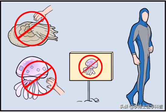 被水母蛰伤后处理视频英文,被水母蜇科普动画