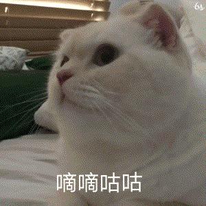 剑网3情缘,剑网情缘3