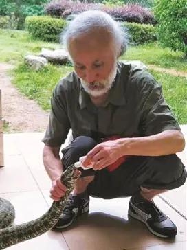 又稀有又毒又贵的蛇,黑背蛇多少钱一条