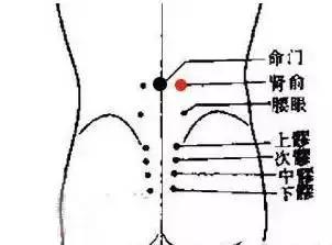 三高拍打健身操30分钟完整版,拍打操降三高养气血