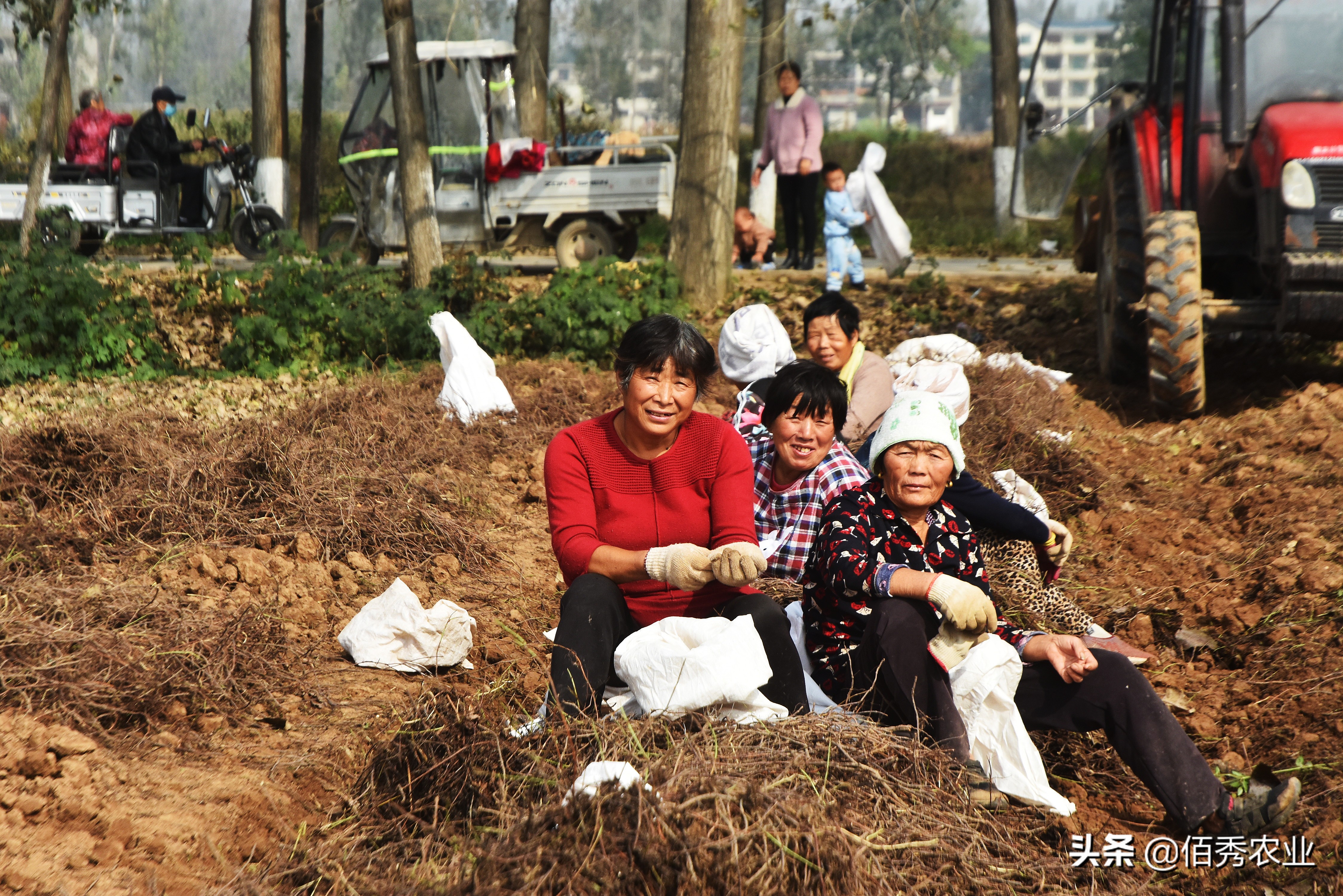 闲不住的农家女,留守妇女在农村种什么赚钱