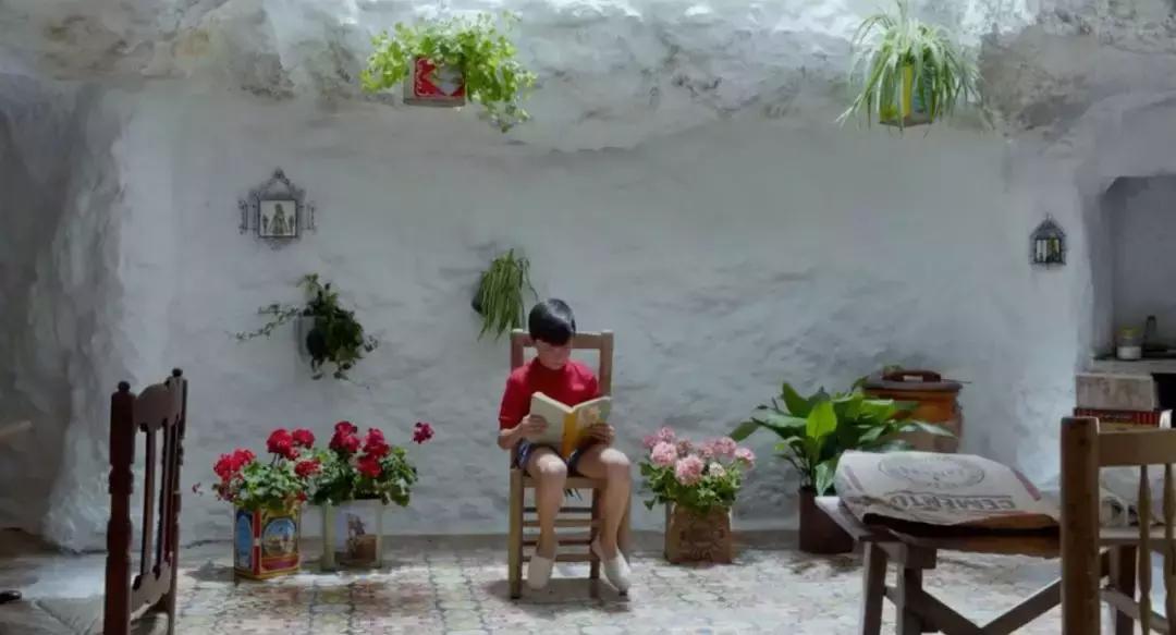 拍了40年*欲情**片，西班牙*欲情**大师阿莫多瓦居然又给观众带来惊喜