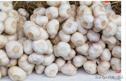 鸡白痢用什么西药好,鸡白痢用什么药