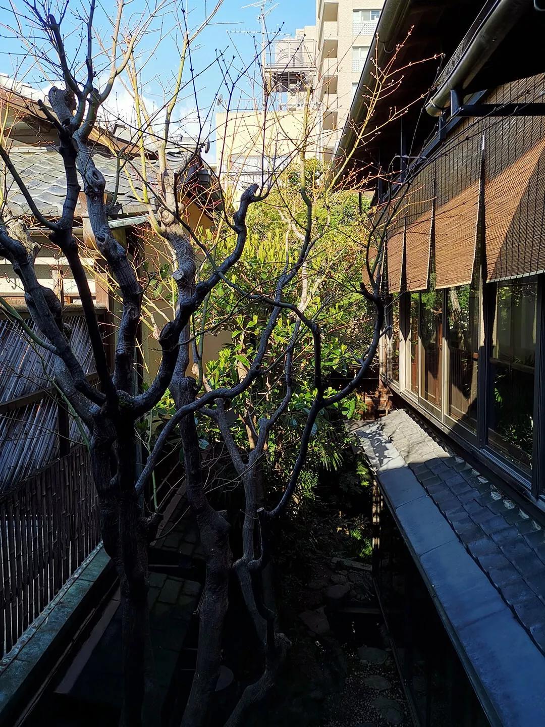 「慢达世界」第216期：短暂停留的京都生活，柊家的待客之道