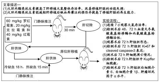 大环内酯类抗生素对肺炎有用吗,大环内酯类抗生素吃了有害么