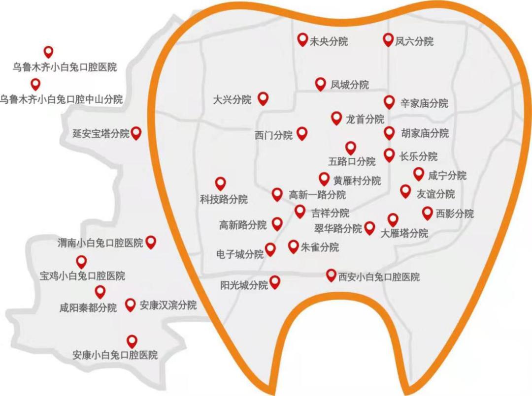 牙的生意：毛利率超过50%的陕西小白兔能上市成功吗？