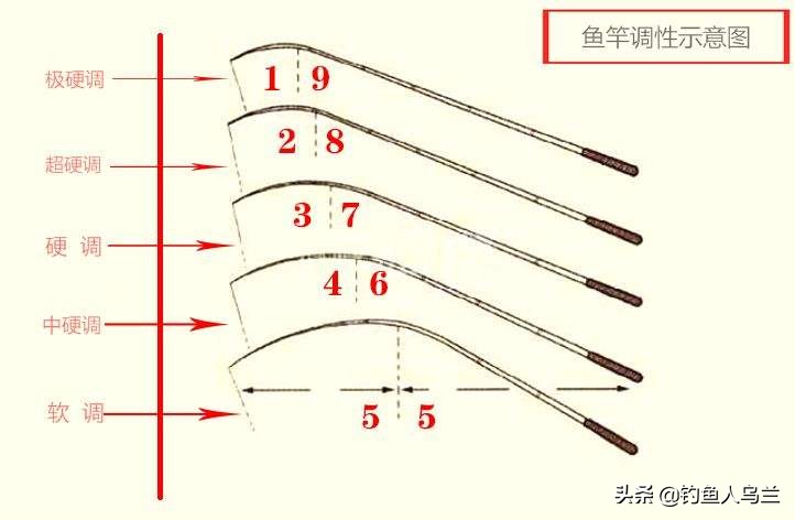 鱼竿调性和竿稍软硬有关系吗,鱼竿竿稍粗细怎么选择图解
