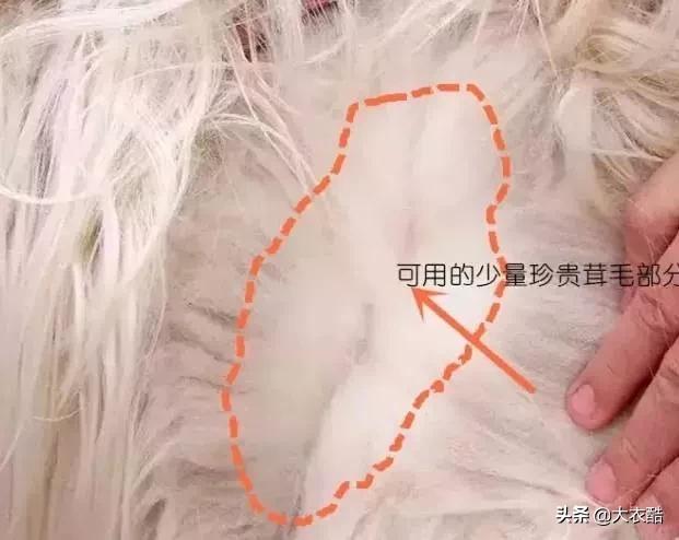 别傻乎乎分不清“羊绒大衣”和“双面呢大衣”，为什么差别10倍？