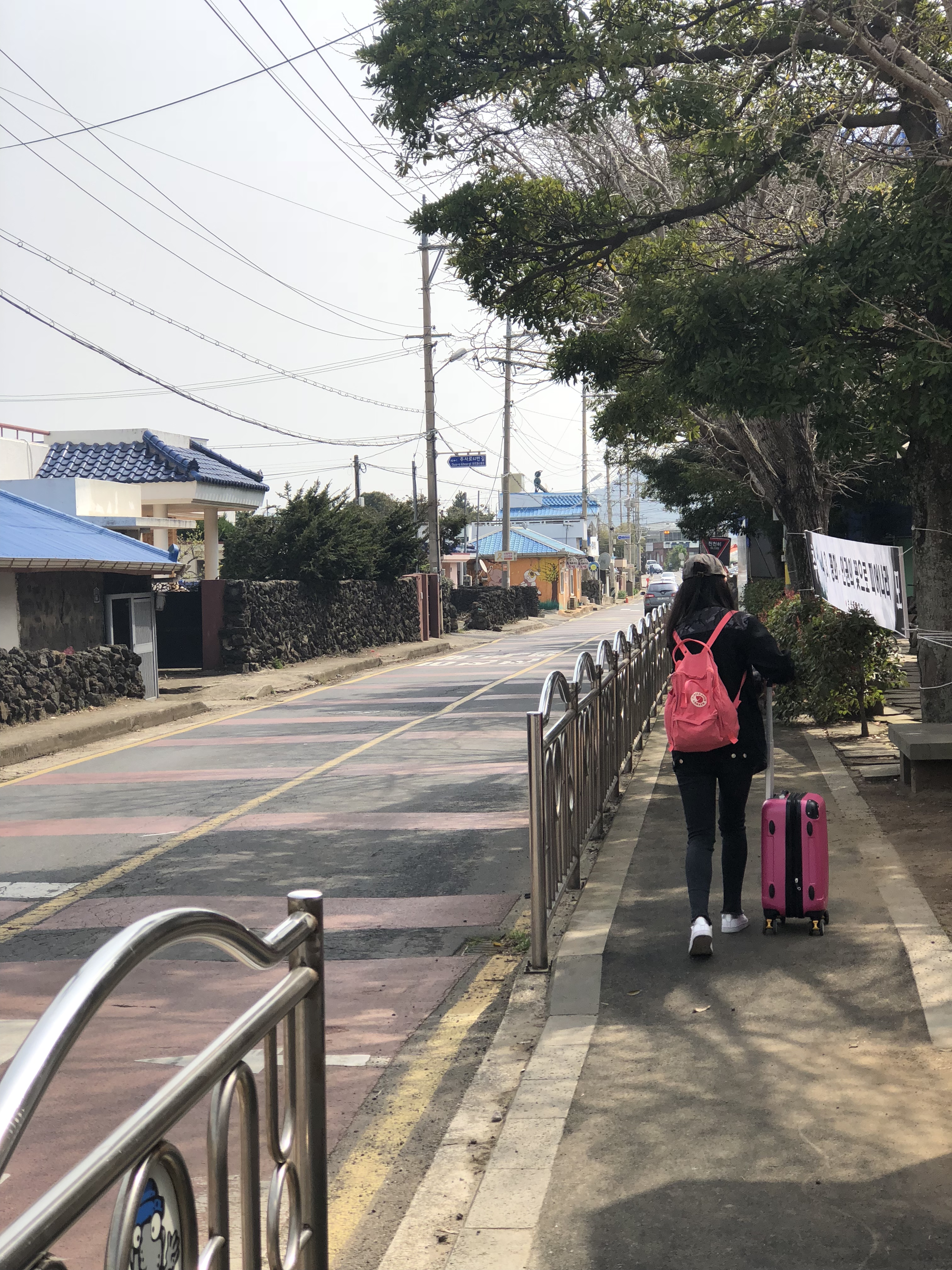 出国游玩新手小白,出国去韩国济州岛打工