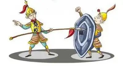 car-t疗法可以治疗哪些癌症,car-t癌症痊愈