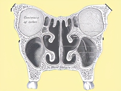 一直流鼻涕怎么止住,儿童流鼻涕怎么快速止住