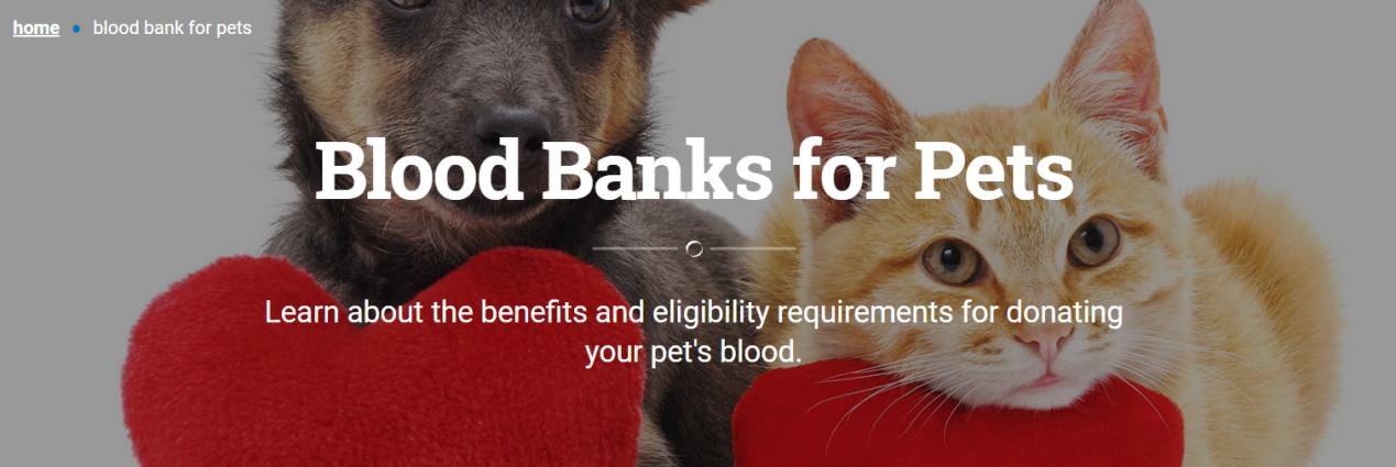 血槽已空下一句,血槽已空