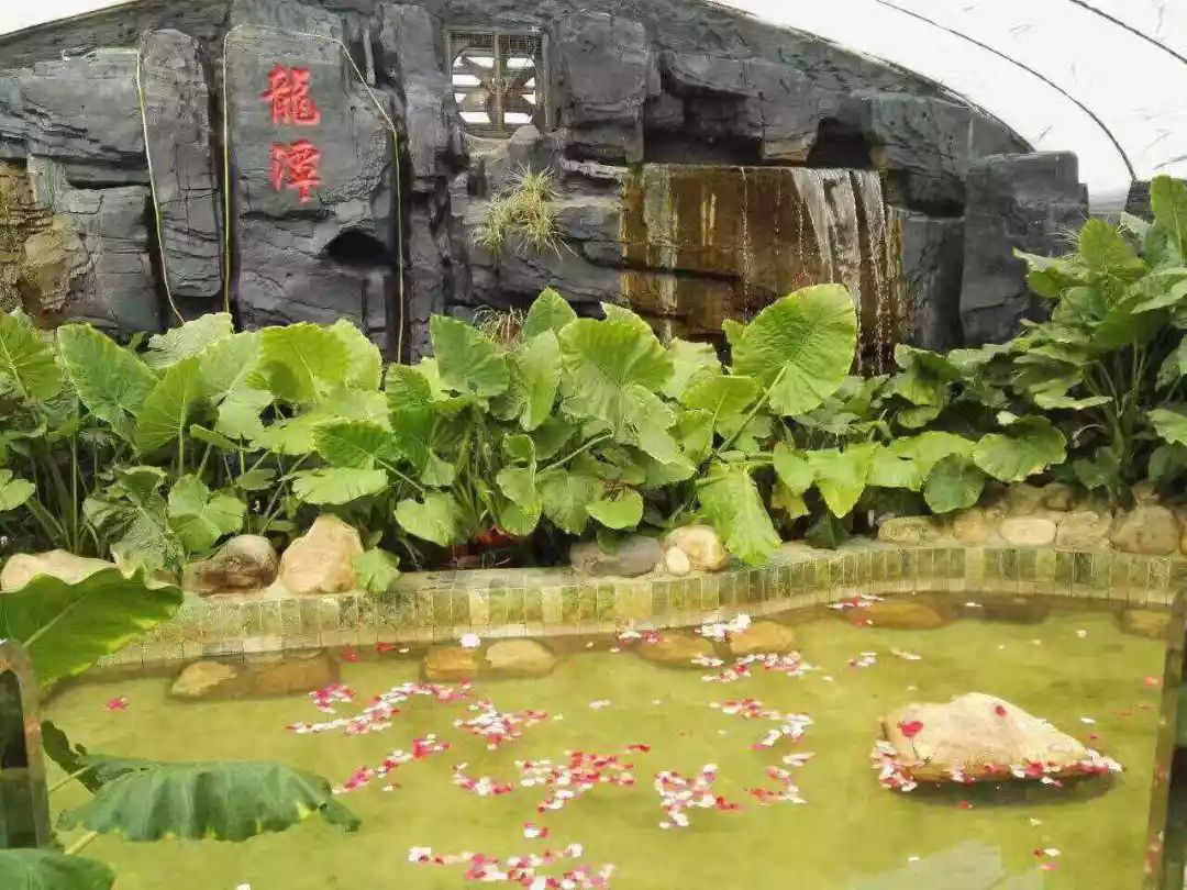 辽宁冬季去泡温泉哪里风景最好,冬天辽宁旅游攻略四天三晚