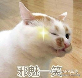 婴儿保湿面霜哪款效果最好,哪款婴儿保湿霜最好使